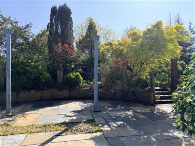 Picture 21
